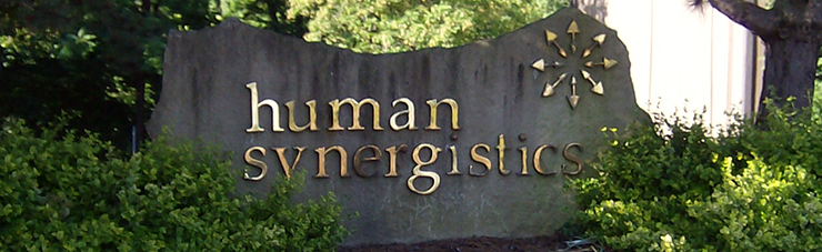 About Human Synergistics About Human Synergistics