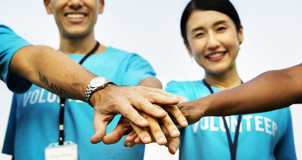 Non-profit culture assessment