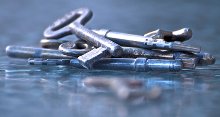 key learnings, edgar schein, josh bersin, barbara trautlein