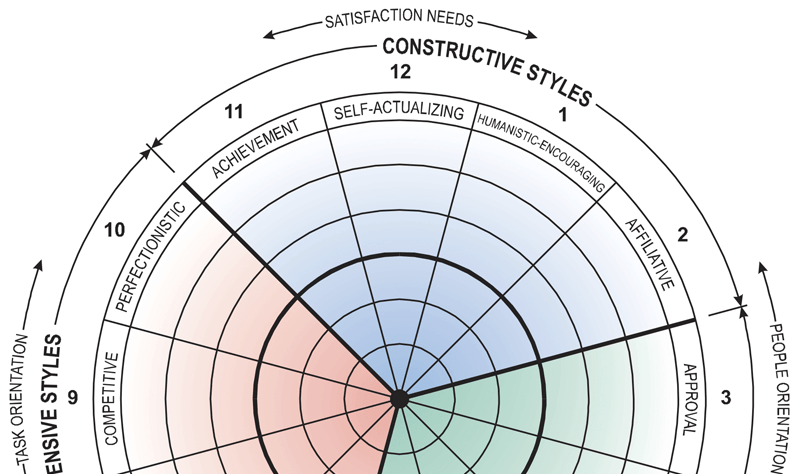 The Circumplex assessment of leaders and team members