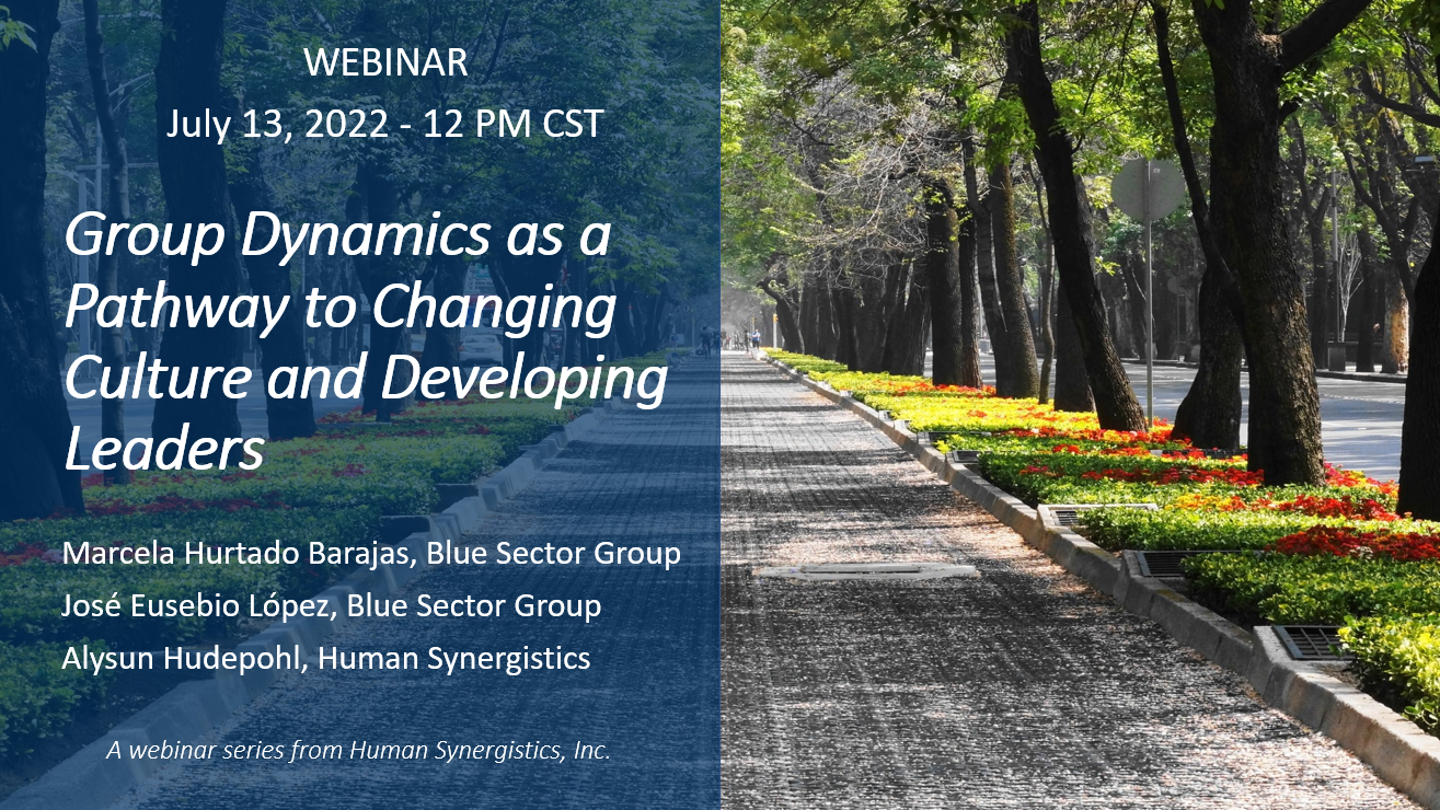 group dynamics webinar