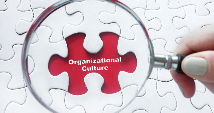 culture and diversity & inclusion