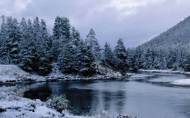 Winter Lake and Trees Landscape