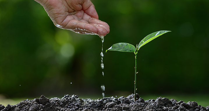 Cultivating a Workplace Culture