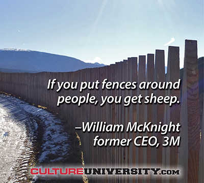 Creating Cultures for the Age of Ideas