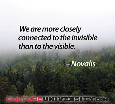 How Visible and Invisible Forces Shape Culture