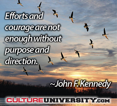 Organisational Culture as Character