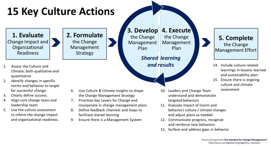 15 Key Culture Actions
