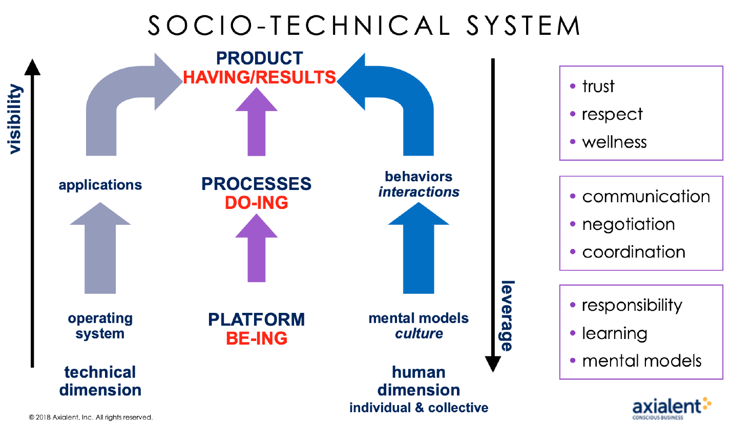 The Socio-Technical System
