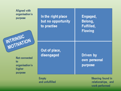 intrinsic-motivation