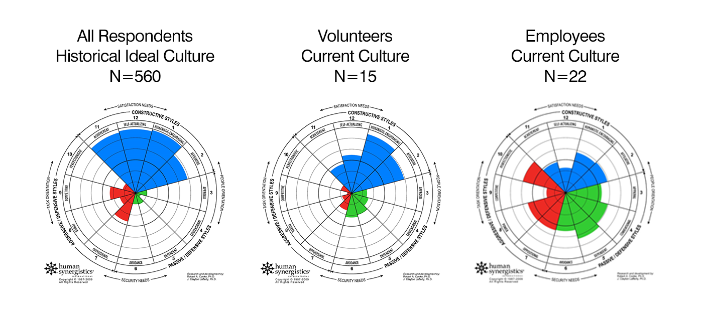 Nonprofit Circumplex profiles