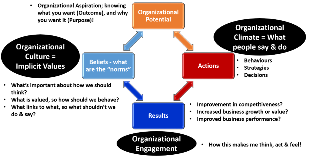 Organizational Diagram
