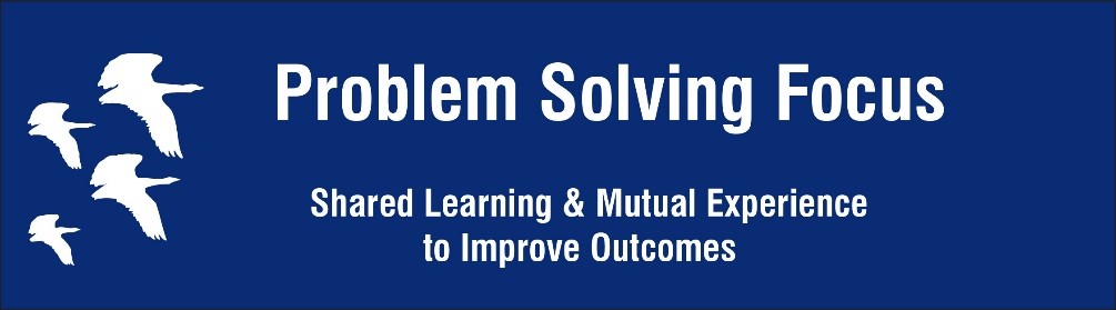 Problem-Solving Focus