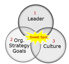 Sweet Spot of Success