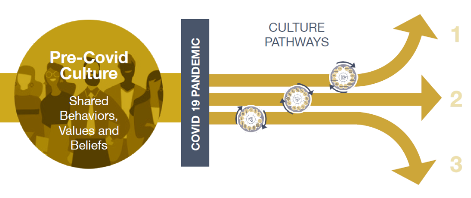 culture pathways