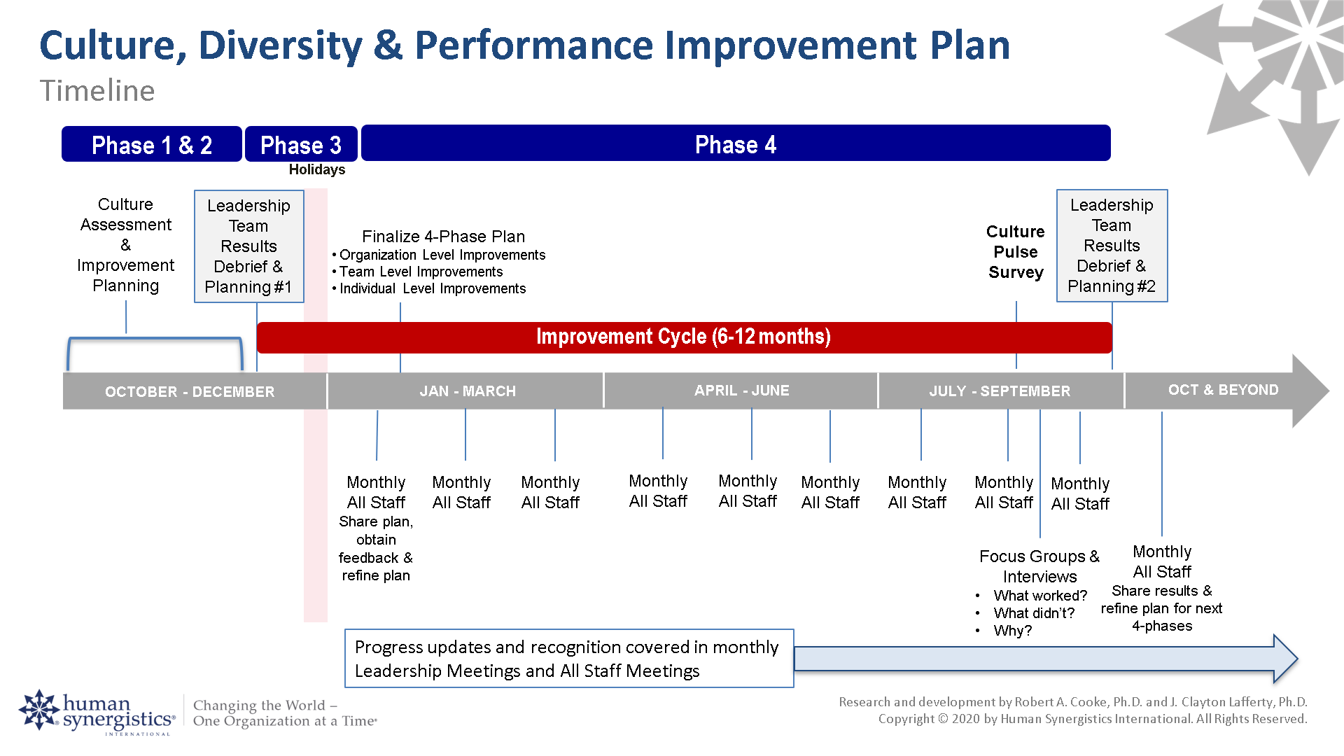 DEI timeline plan