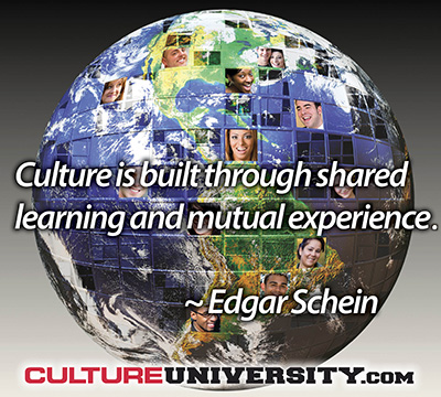 20 réflexions sur la culture organisationnelle par Edgar Schein